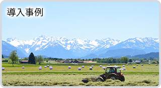 導入事例