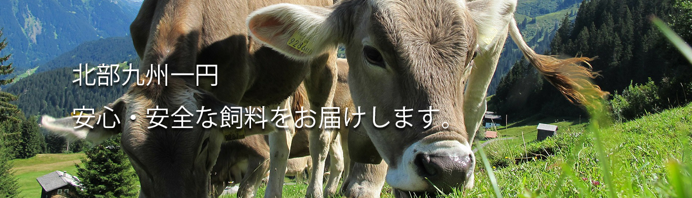 北部九州一円　安心・安全な飼料をお届けします